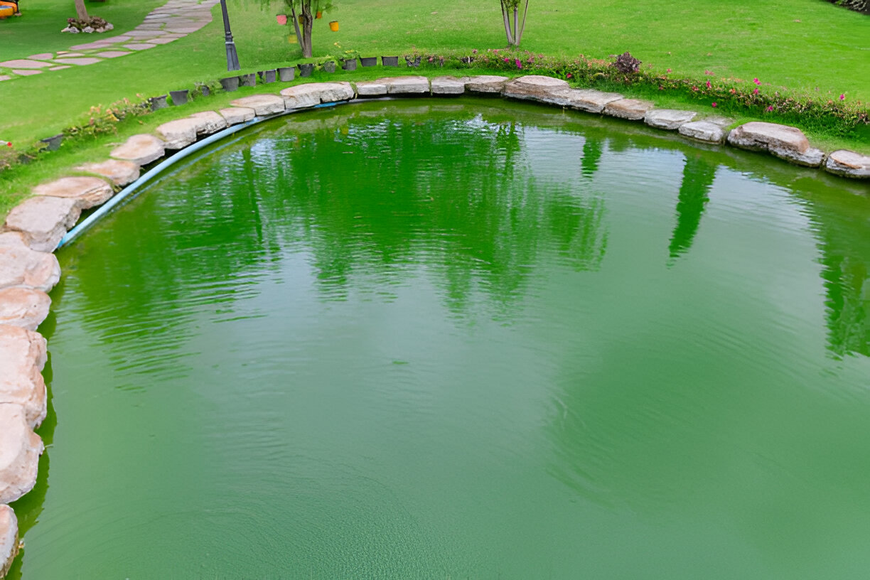 Clear Water, Happy Pond