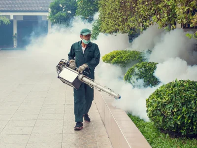 Safeguard Your Trees