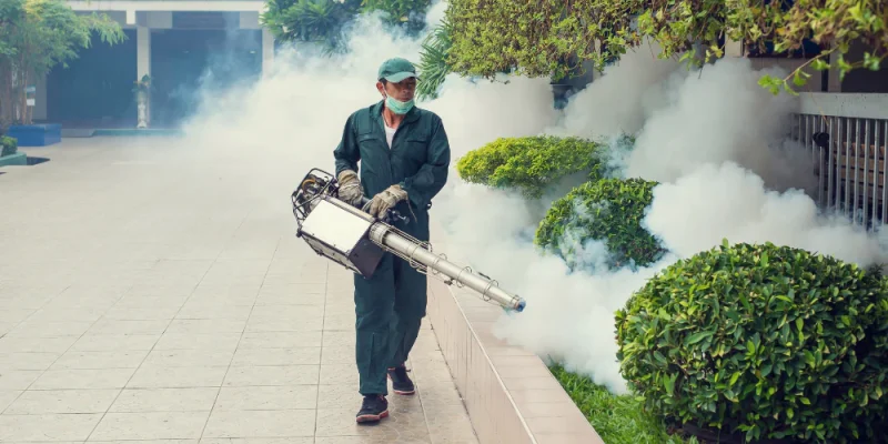 Safeguard Your Trees